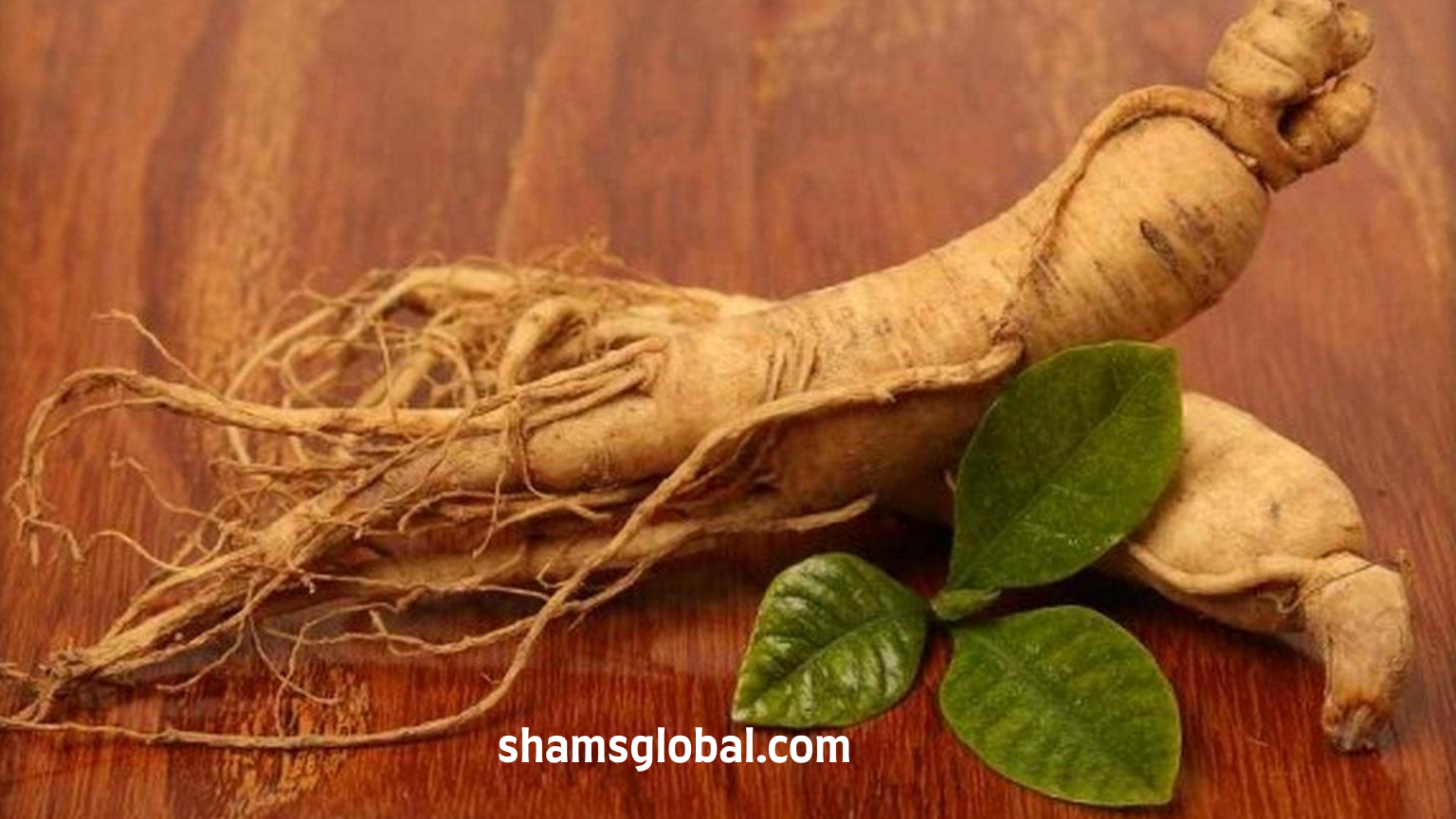 اثرات فارماکولوژیک جینسینگ آسیایی