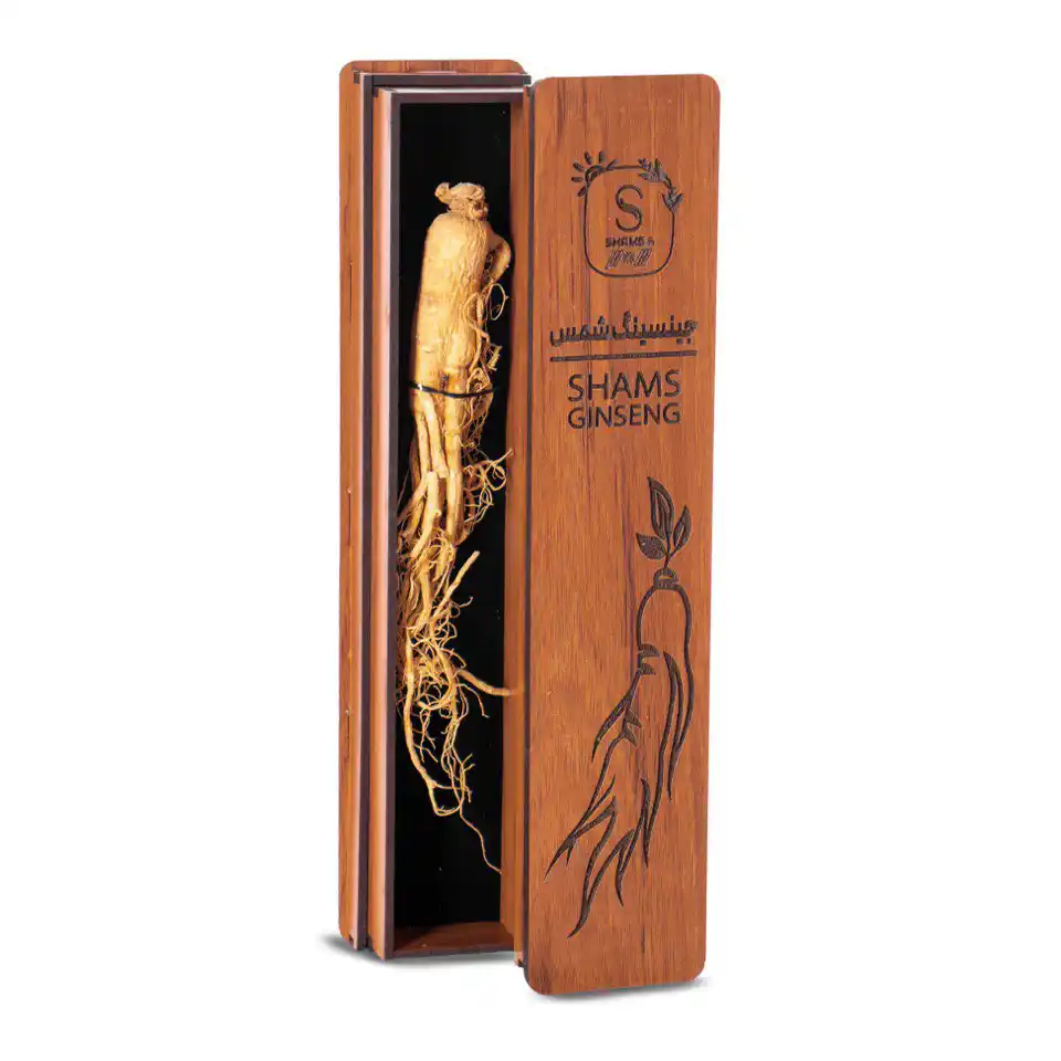 white ginseng خرید جینسینگ سفید