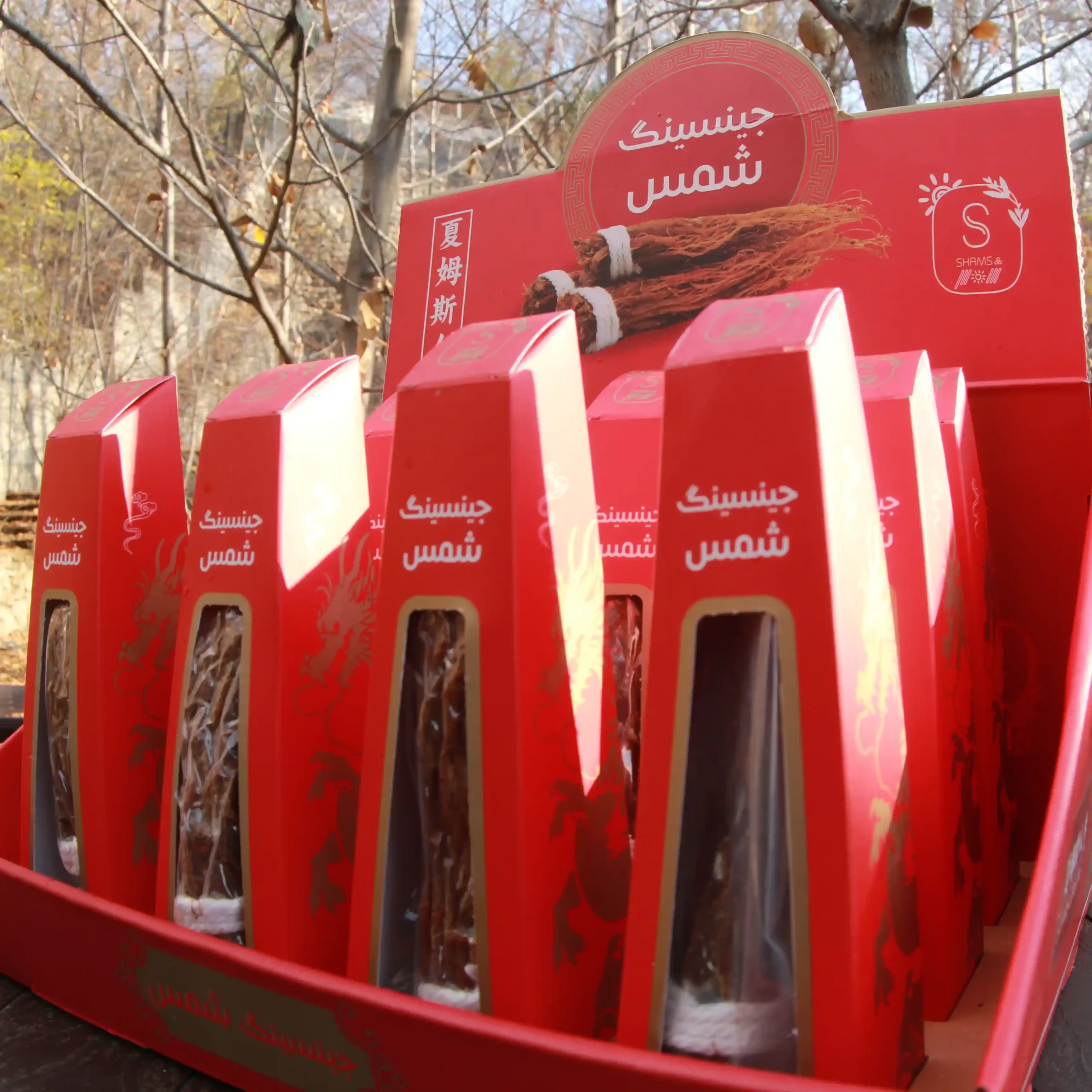 جینسینگ قرمز تک نفره شمس